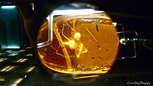 A spider trapped in amber, this photo's taken looking through a magnifying glass about the size of a 10p coin
