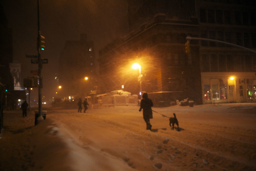 Dog Walking Lafayette New York Blizzard, January 26, 2011