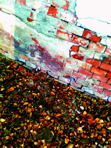 Bricks & Leaves by Chaos_Inside