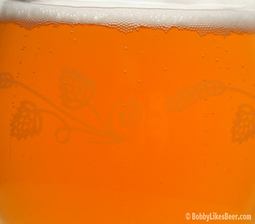 Jolly Pumpkin Bambic, the Winking Lizard's 25 Anniversary beer! Jolly Pumpkin Bambic in the glass. Beautiful!