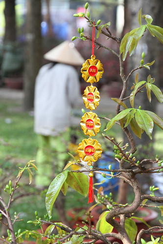 Tet decoration in the park