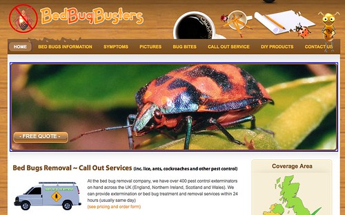 Evolutionary and Ecological Entomology » Blog Archive » Bug