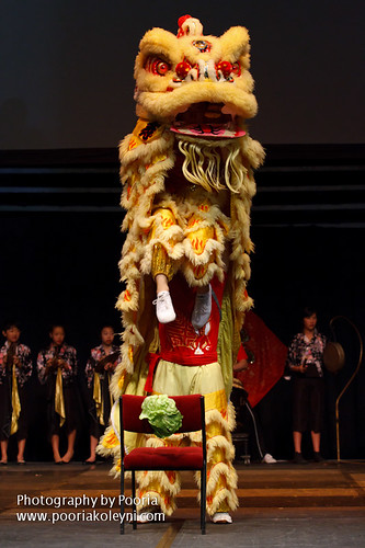 Lion dance-2011 Chinese New Year (Set)