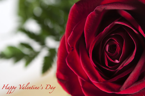 Day 45/365: Happy Valentine's Day