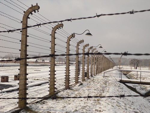 Ogrodzenie Auschwitz - Birkenau