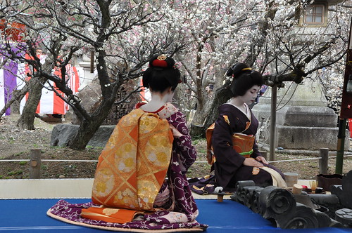 Tea Ceremony -- geiko Ichiteru-san (right) and maiko Umechiho-san (left)