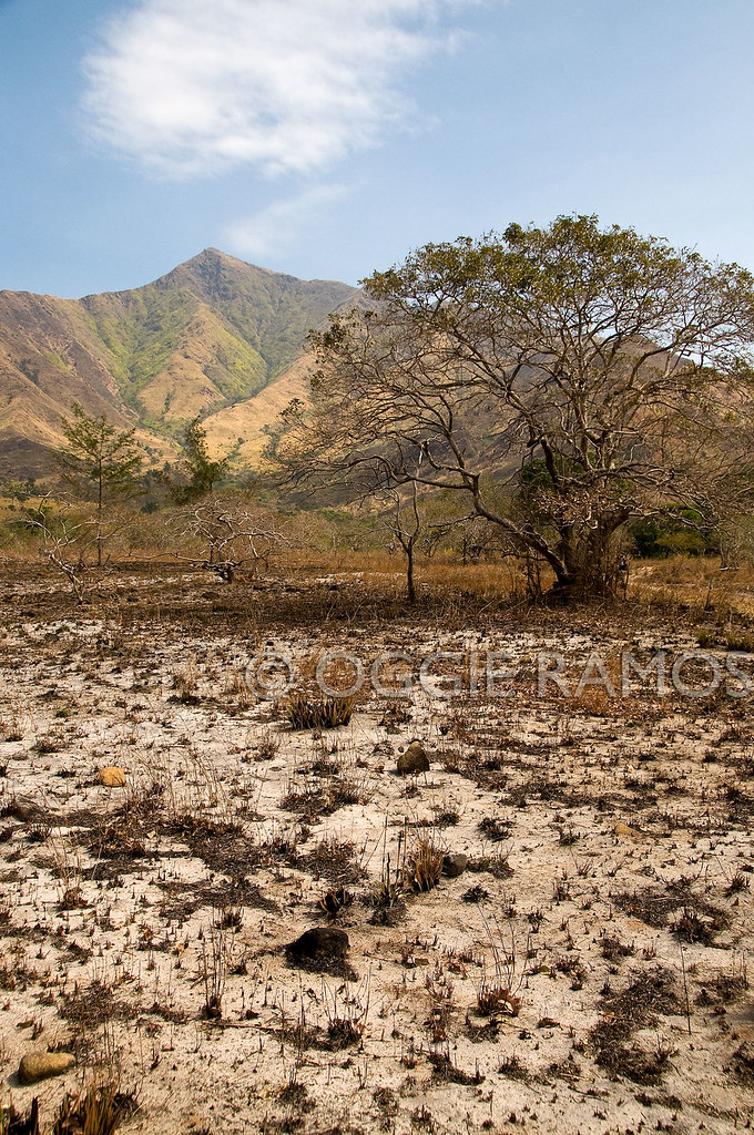 Nagsasa - Dried-Up and Burnt-Grassland