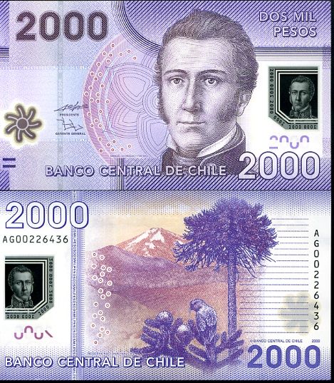 2000 Pesos Chile 2010, polymer