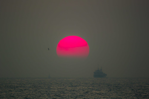 フリー写真素材|自然・風景|夕日・夕焼け・日没|海|船・船舶|日本|