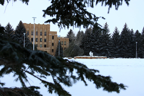 University of Wyoming, in Snow