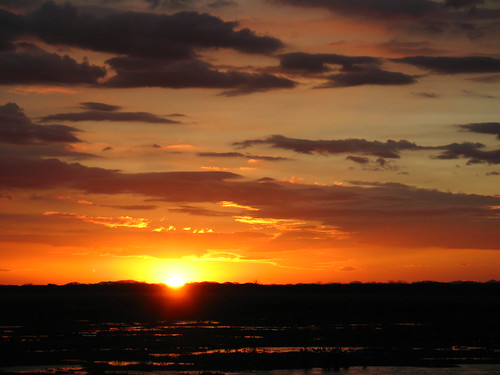 sunset over Palo Verde marshlands