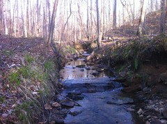  Creek 