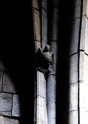 halcon catedral girona