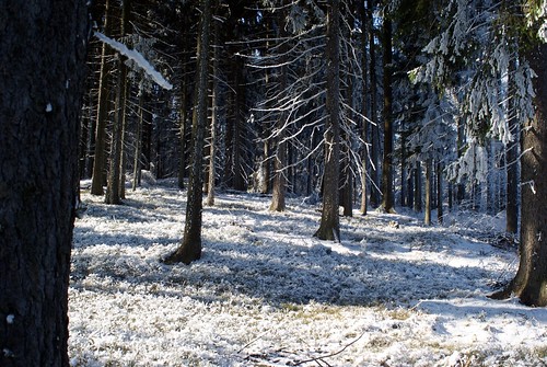winterwonderland