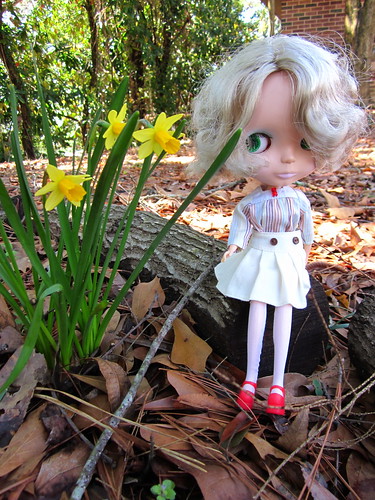Noelle by the miniature daffodils.