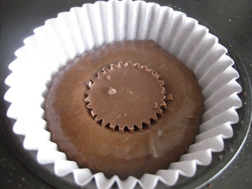 Chocolate peanut butter cupcake pre-bake