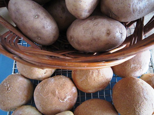 Potato rolls