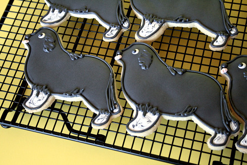 Newfoundland Dog cookies.