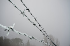 Frosty Barbed-Wire DSC_0874 by Mully410 * Images