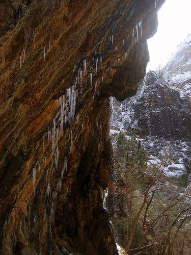 Weeping Rock w/ Icicles