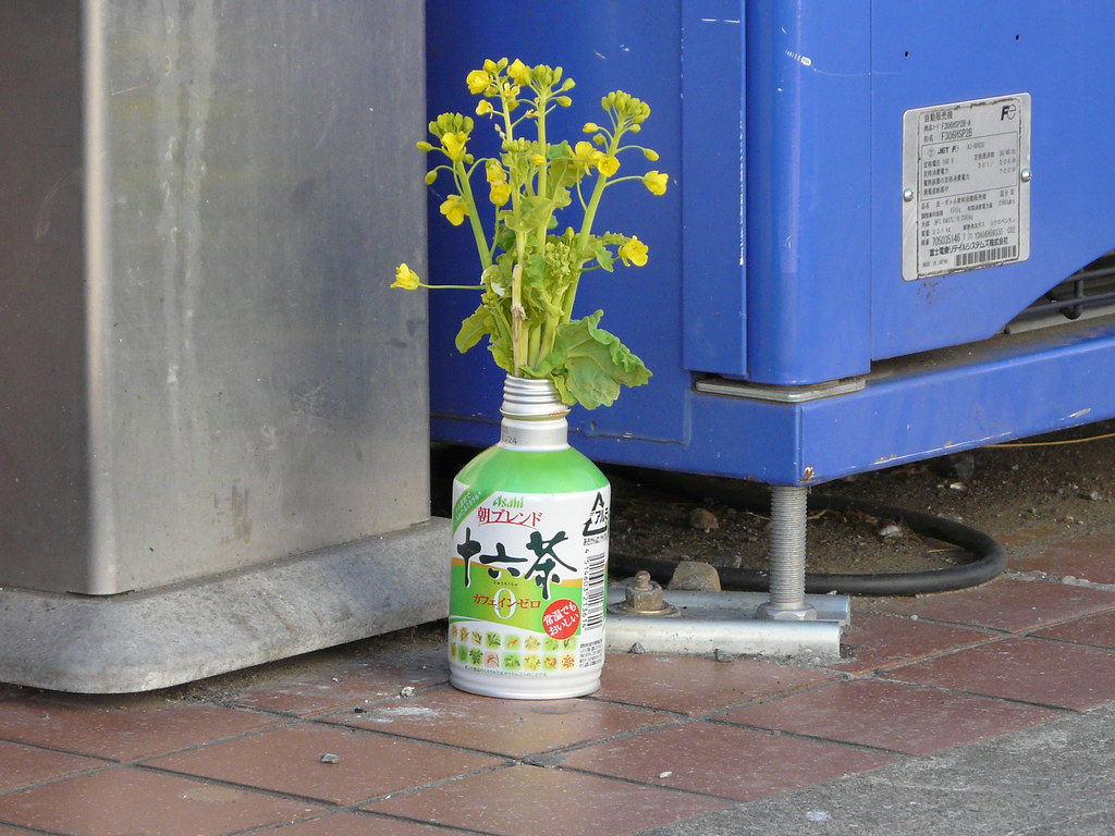 Smoking Spot Beautification in Can and Flowers