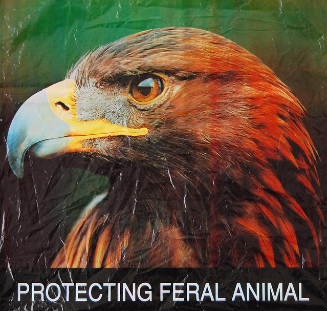 protecting feral animal