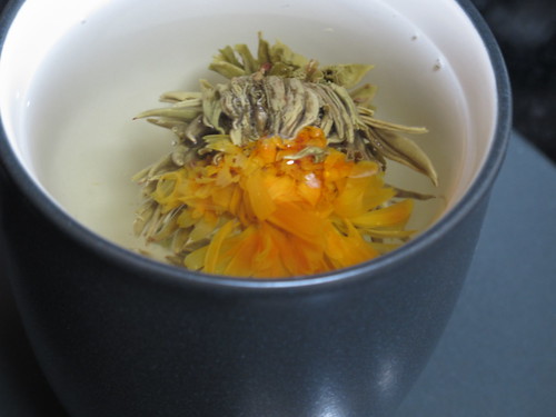 Tea Blossom Blooming