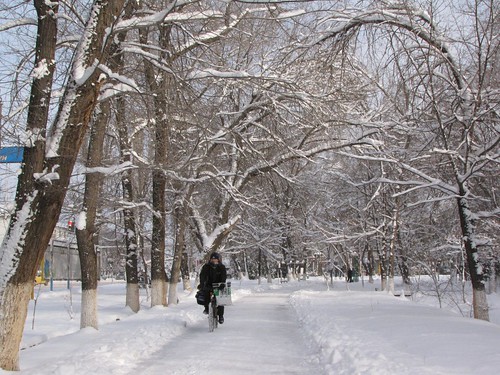 Snow Biker ©  upyernoz
