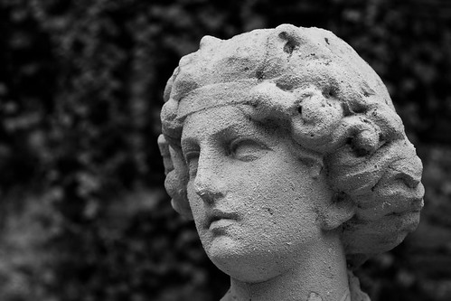 Moisturise Daily (Statue at Palladio's Teatro Olimpico), Vicenza by flatworldsedge