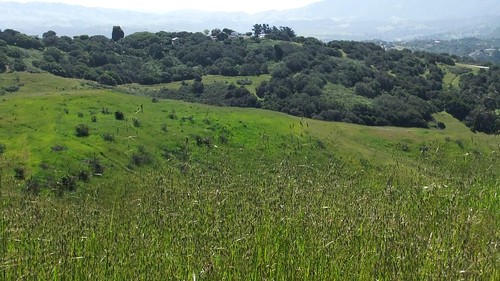 Green rolling hills @ the Sea Otter demo loop