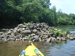 Saluda River Paddle-45