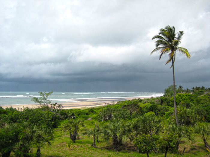 Coast of Tanzania