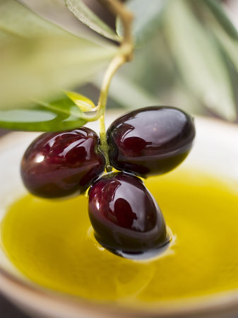 dipping-olive-sprig-with-black-olives-in-olive-oil