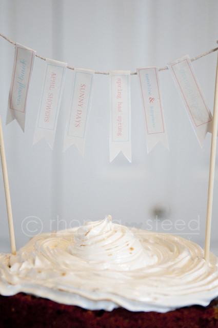 Smore's Cake - the banners