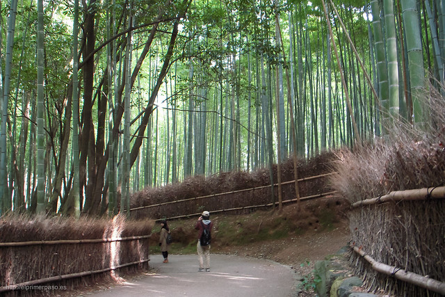 Kyoto - Bosque de bamb� de Sagano (Arashiyama)
