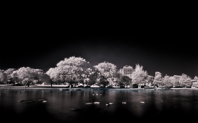 The Centennial Lake, Hokowhitu in Infrared