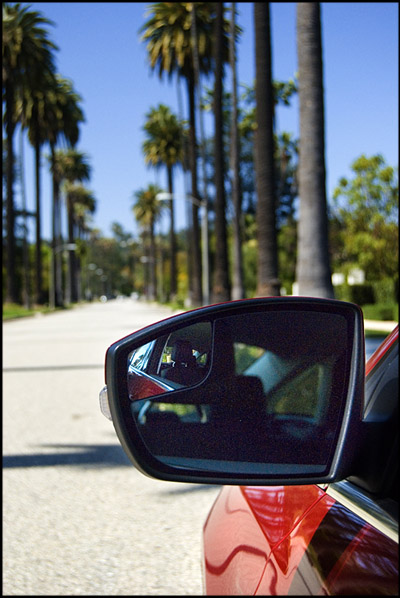 palm-trees-sideview-ford-focus