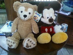 Shaggy Mickey and Duffy Bear