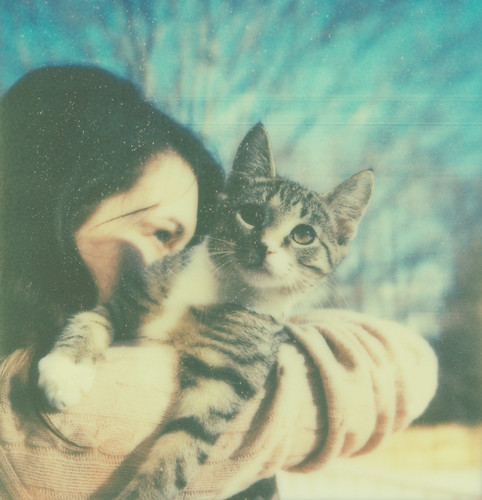 フリー写真素材|動物|哺乳類|ネコ科|猫・ネコ|人物|女性|