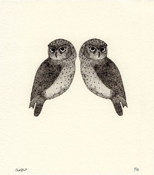 claire-two-littleowl4