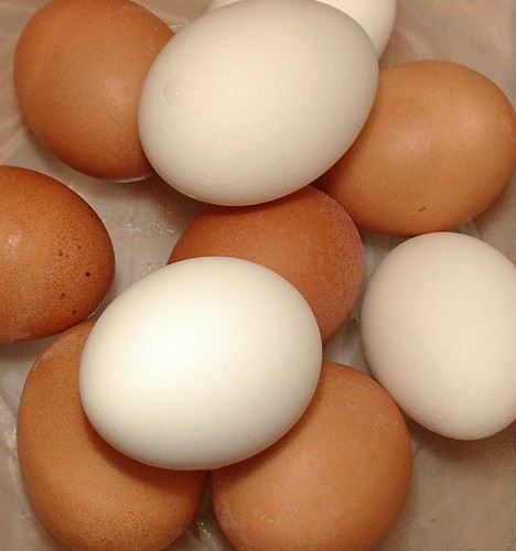 brown and white eggs  boiled