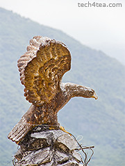 Eagle perched atop Gourdon.