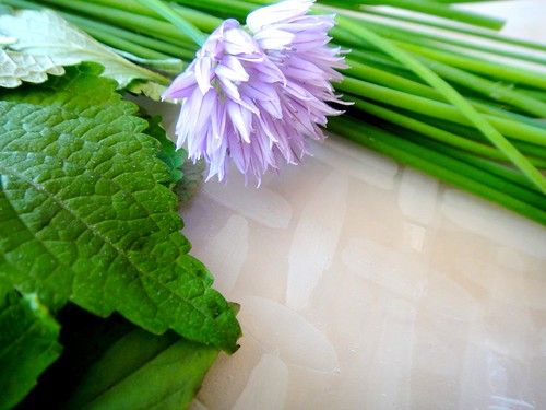 Herbs and rice paper