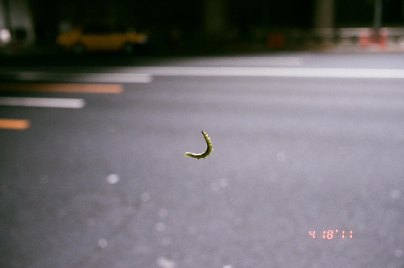 caterpillar_12