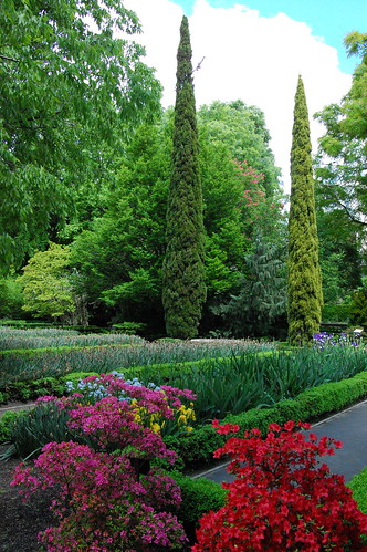 Botanical Garden by Breetastic