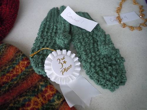I placed third in the crochet contest!