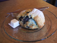 Blueberry scone