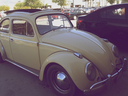 Day 100 - Volkswagen Beetle