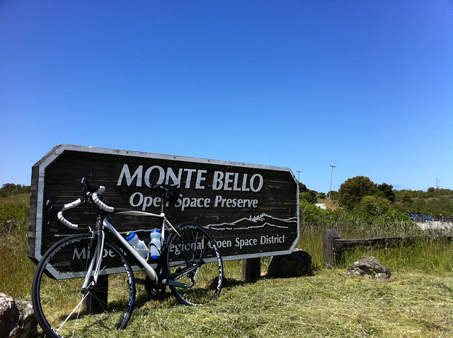 Monte Bello Open Space Preserve