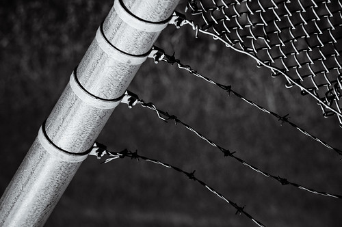 Barbed Wire Flag